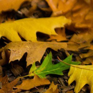 Meet your Posher, Rob